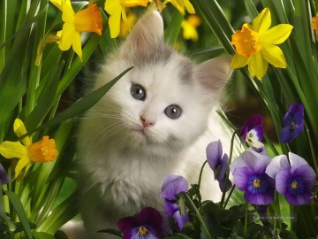Von Fotos Realistisch Werke - Kitten Frühling Blumen Malerei von Fotos zu Kunst